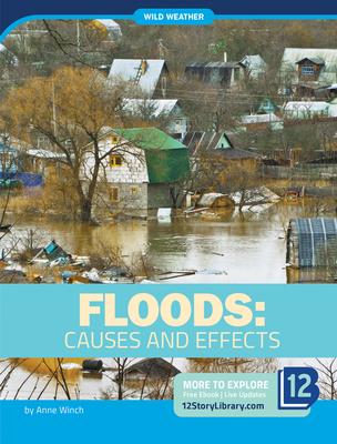 Vorderes Coverbild Floods: Causes and Effects