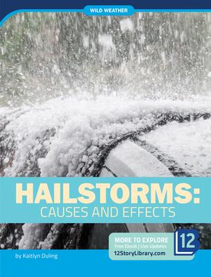 Vorderes Coverbild Hailstorms: Causes and Effects