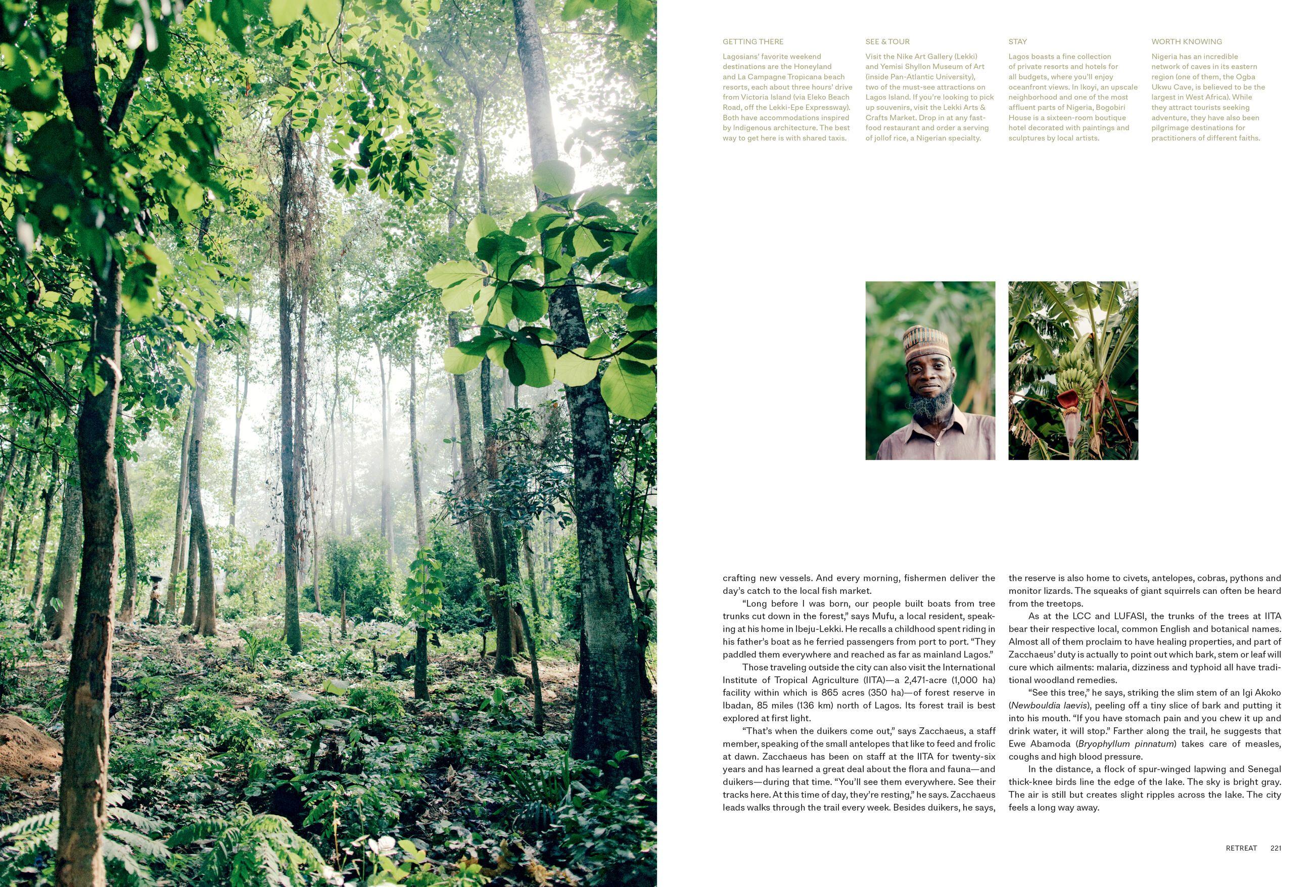 Beispielinhalt (Bild) Kinfolk Wilderness
