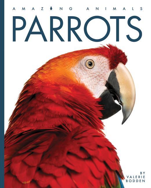 Vorderes Coverbild Parrots