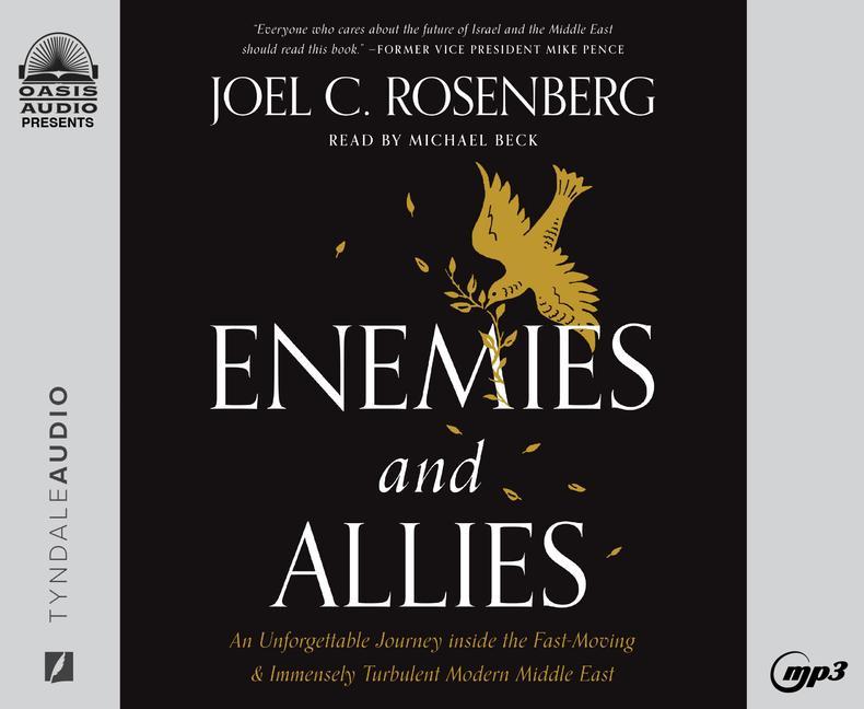 Vorderes Coverbild Enemies and Allies: An Unforgettable Journey Inside the Fast-Moving & Immensely Turbulent Modern Middle East