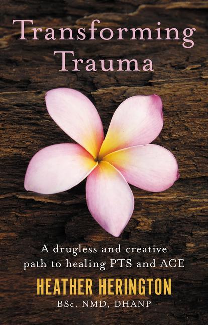 Vorderes Coverbild Transforming Trauma