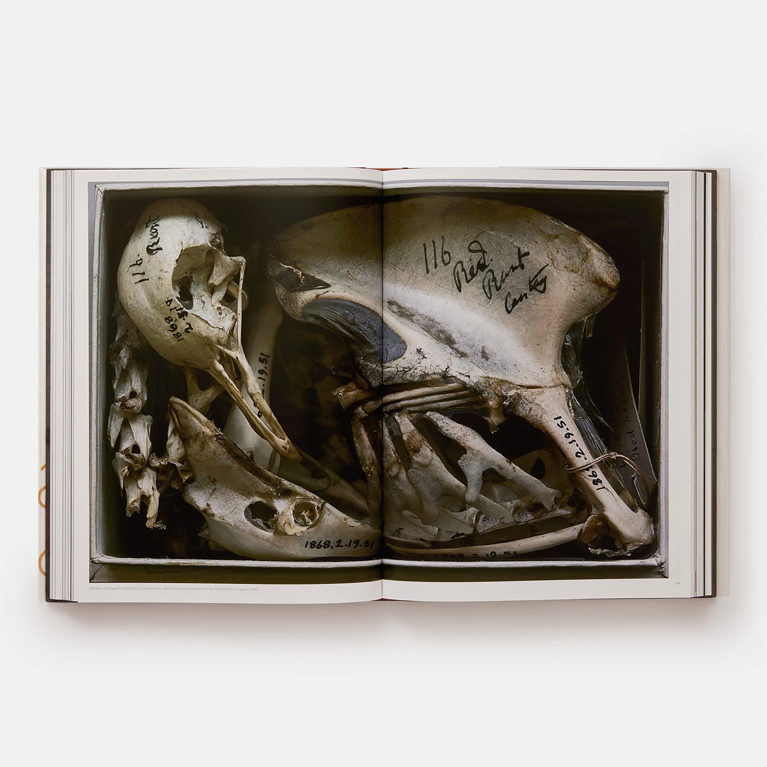 Beispielinhalt (Bild) Portraits 2005-2016