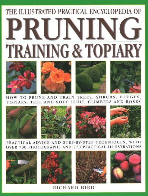 Vorderes Coverbild Illustrated Practical Encyclopedia of Pruning, Training and Topiary