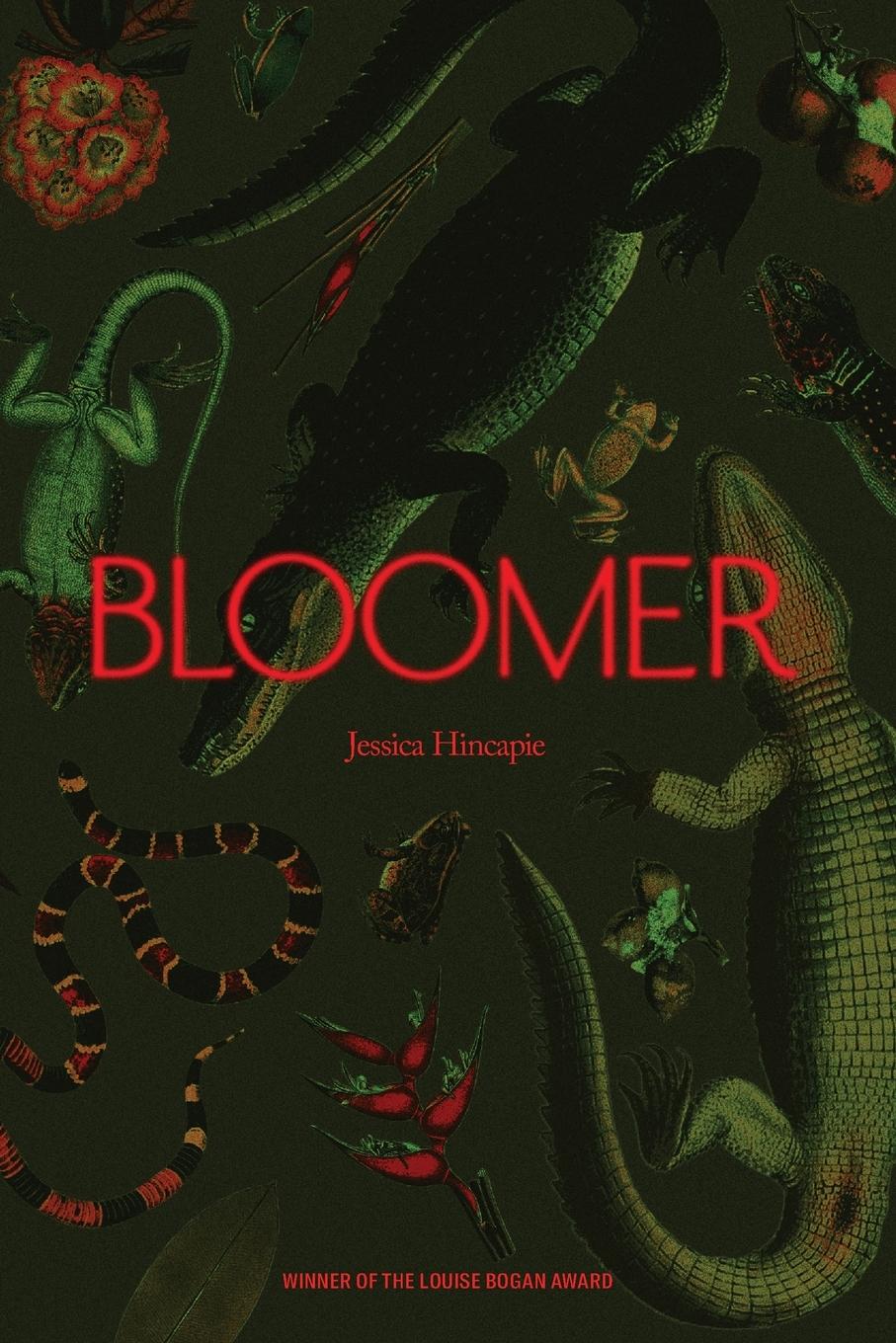 Vorderes Coverbild Bloomer