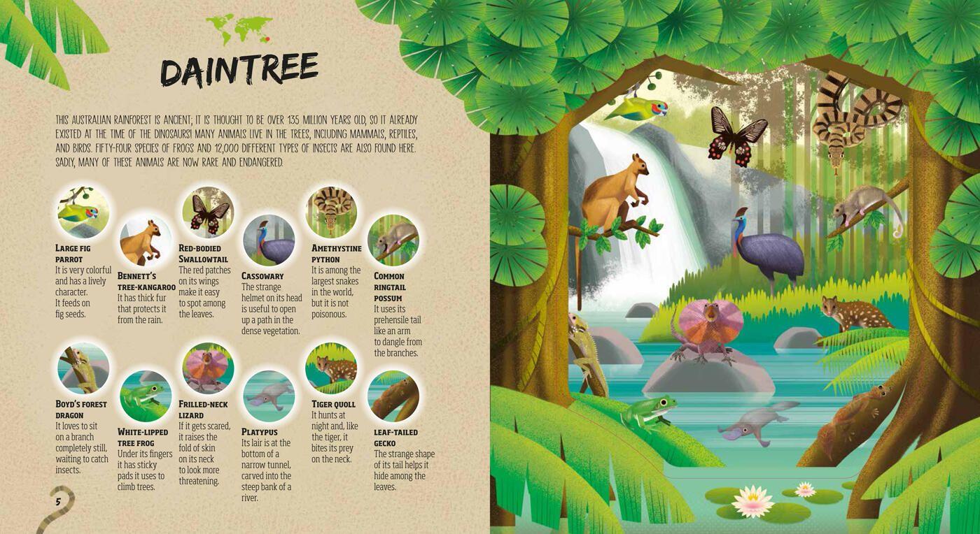 Beispielinhalt (Bild) Hidden Jungle