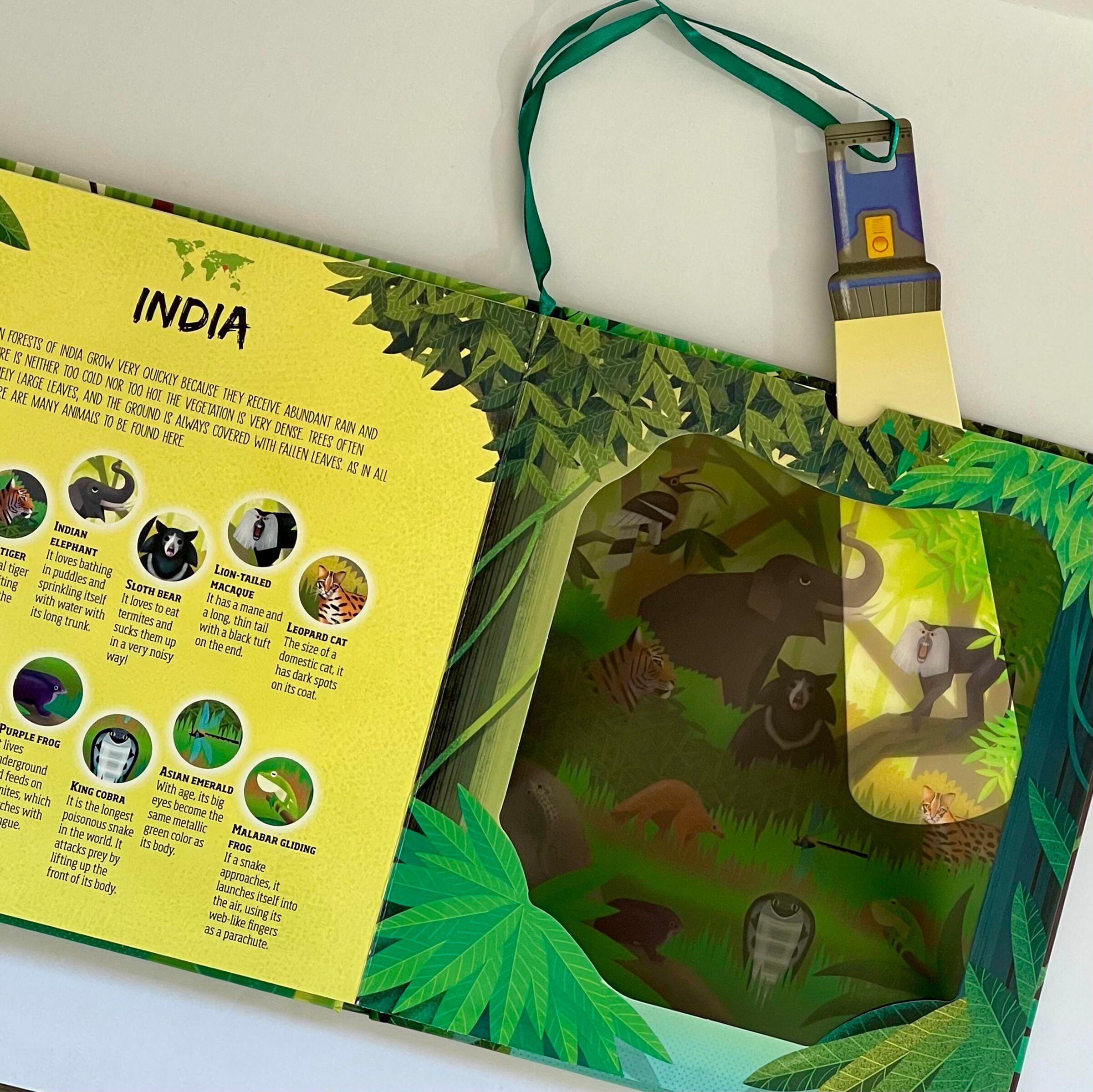 Beispielinhalt (Bild) Hidden Jungle