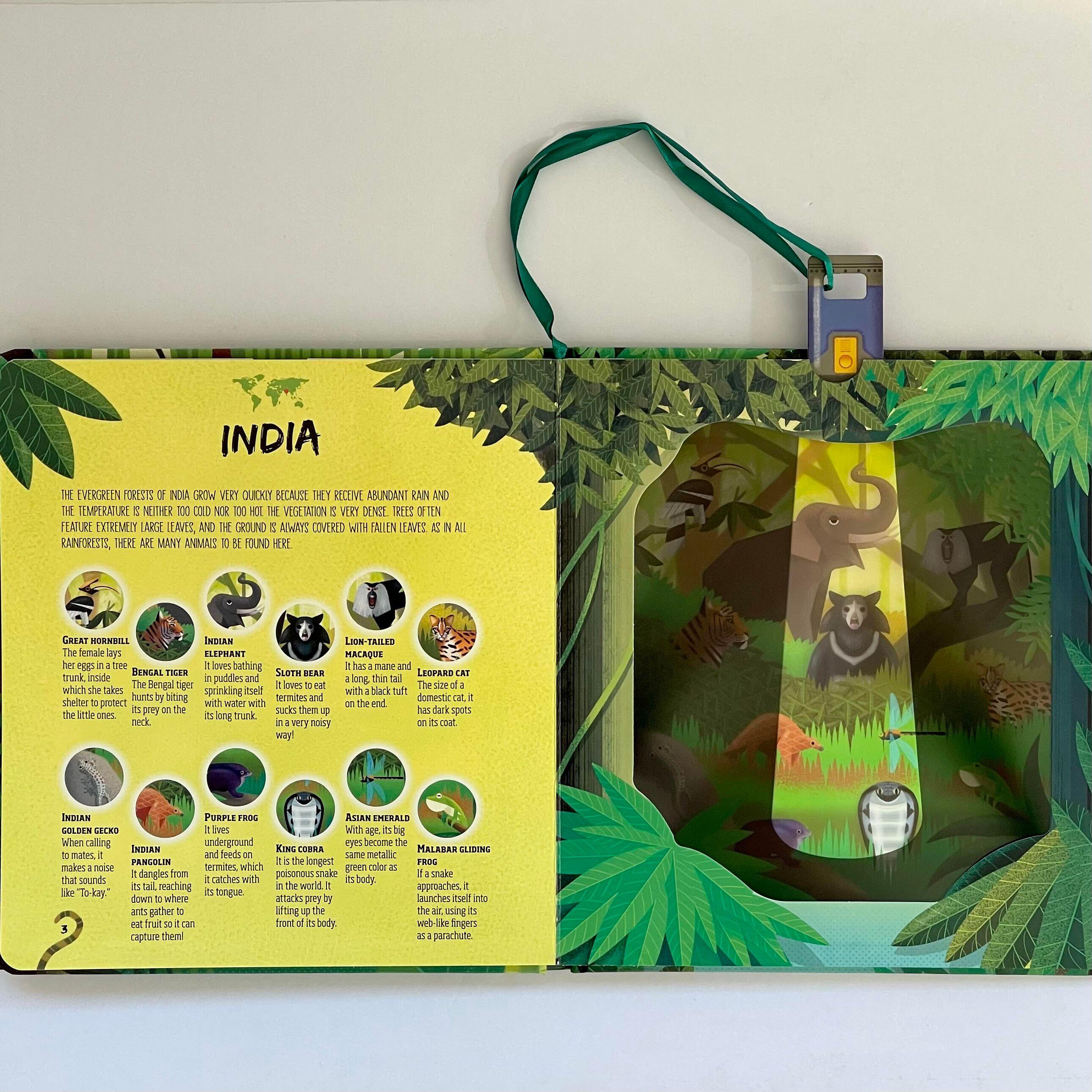 Beispielinhalt (Bild) Hidden Jungle