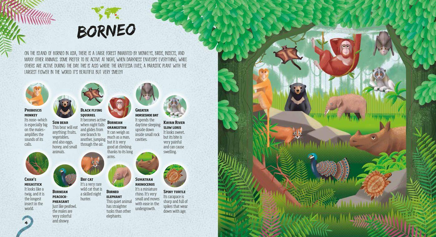 Beispielinhalt (Bild) Hidden Jungle