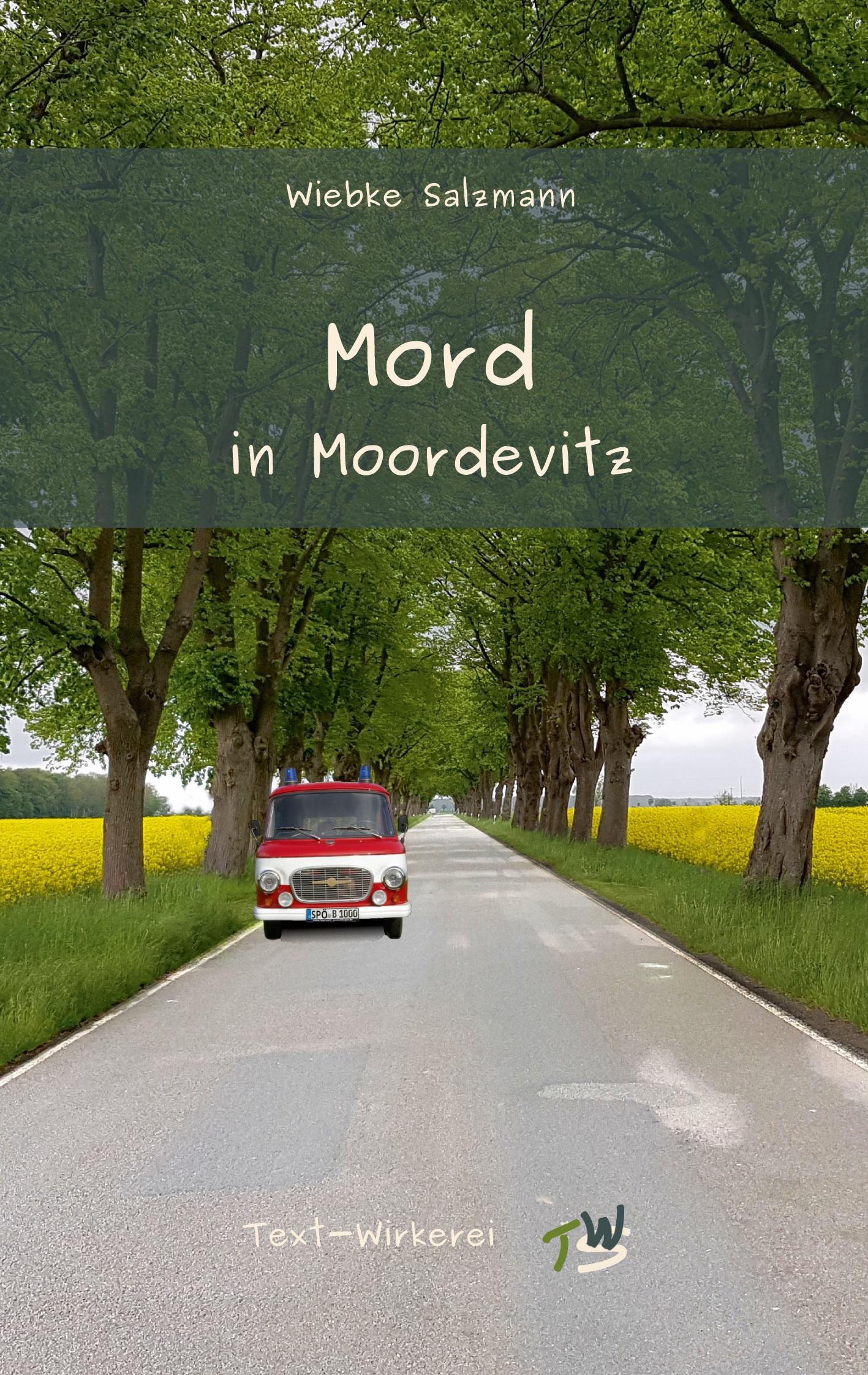 Vorderes Coverbild Mord in Moordevitz