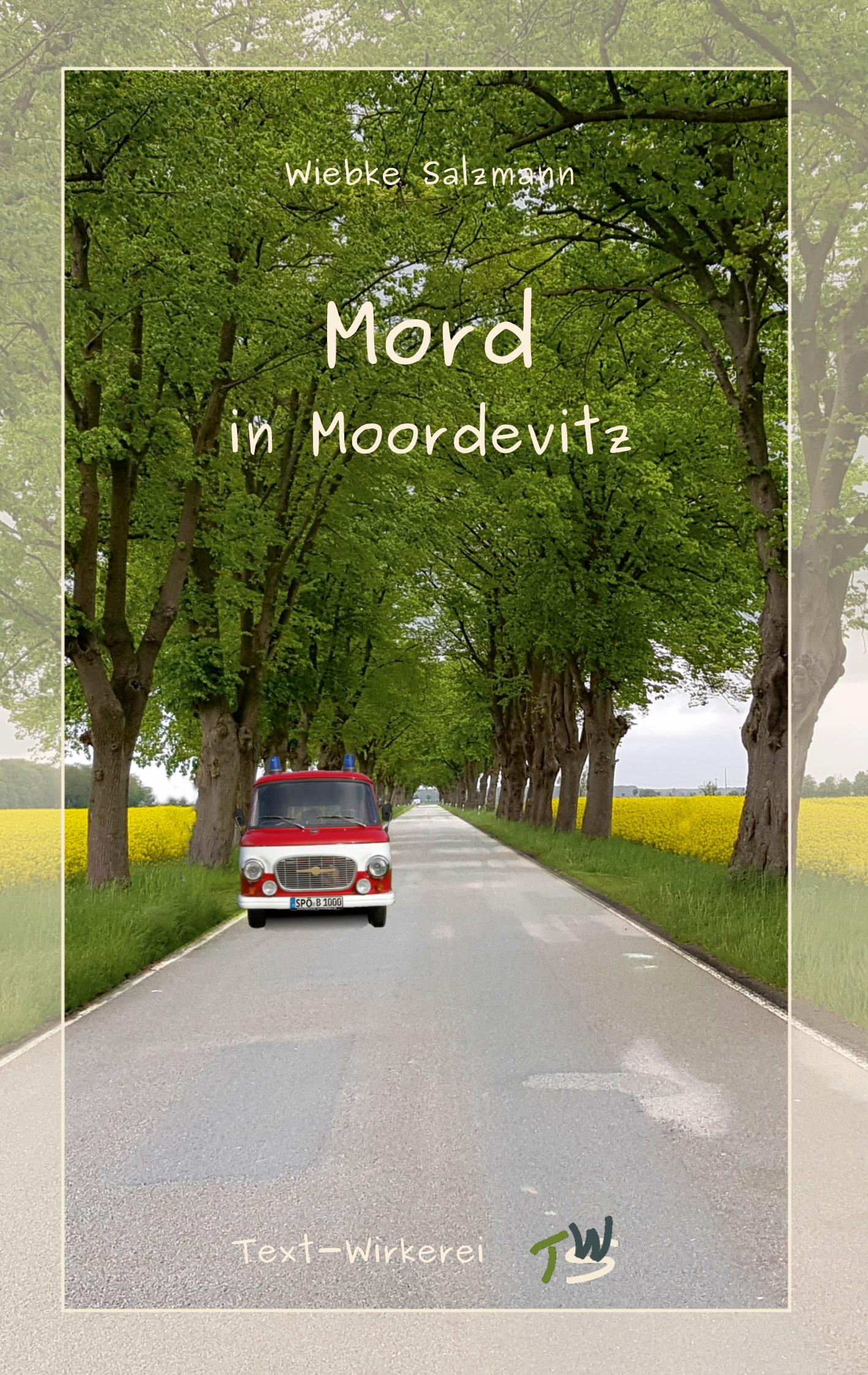 Vorderes Coverbild Mord in Moordevitz