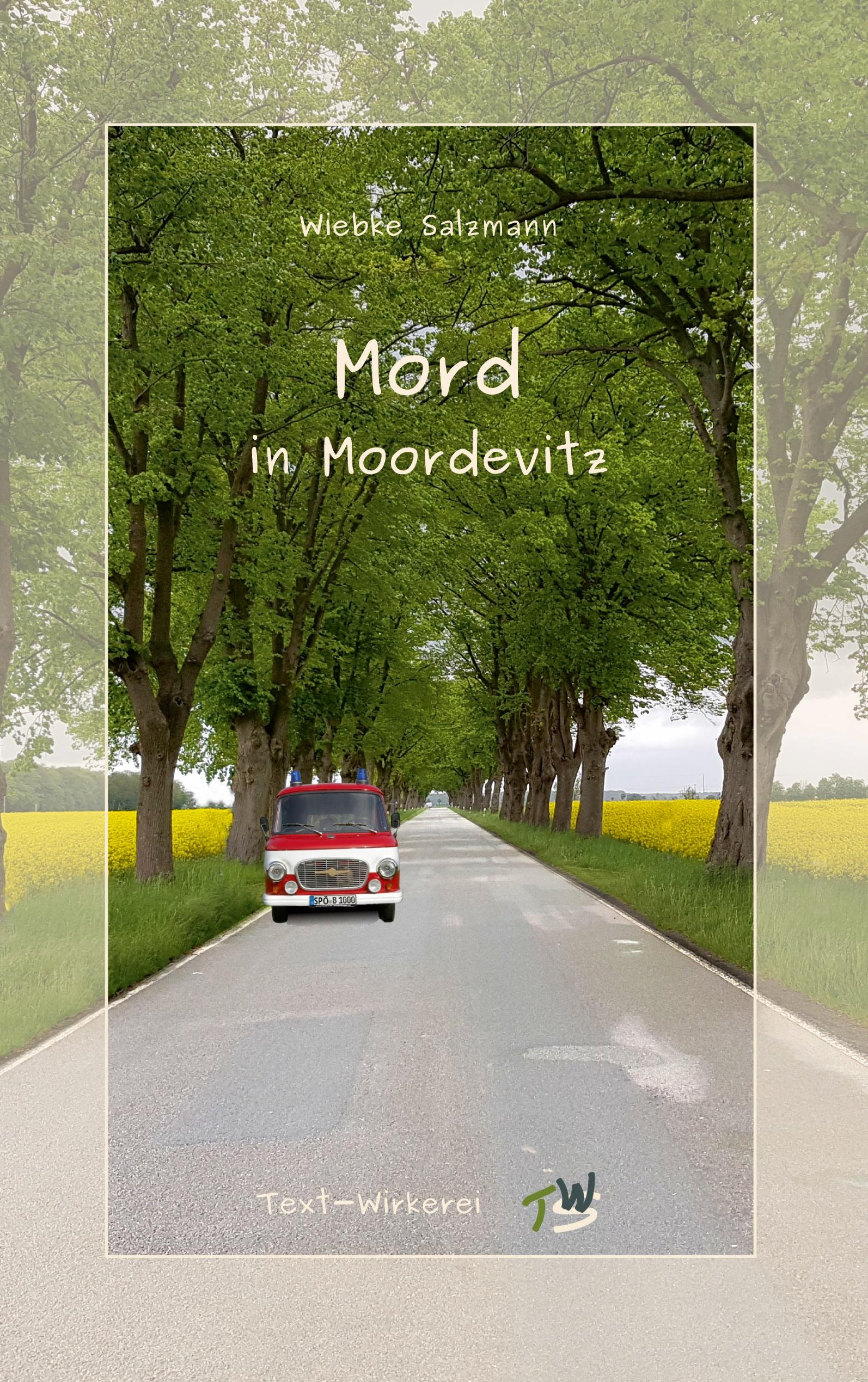 Vorderes Coverbild Mord in Moordevitz