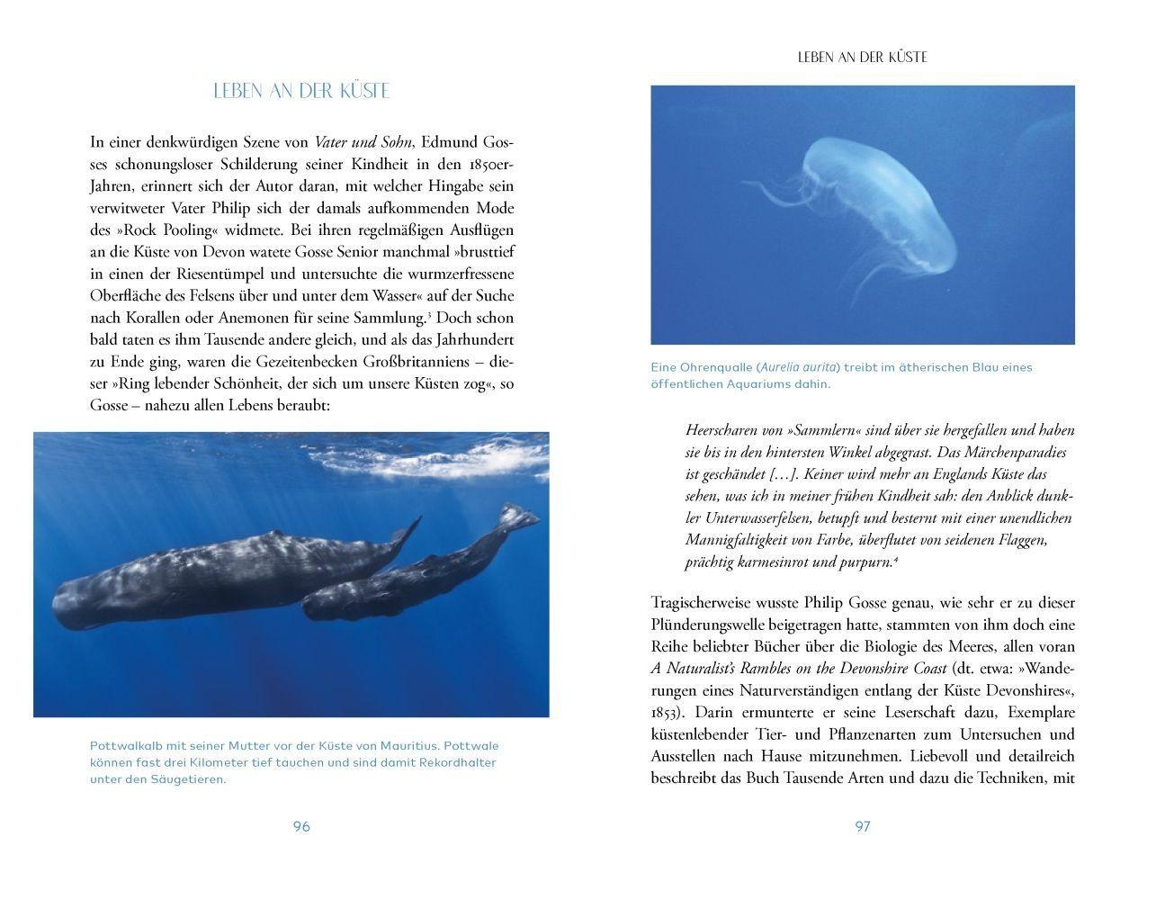 Beispielinhalt (Bild) Das Meer