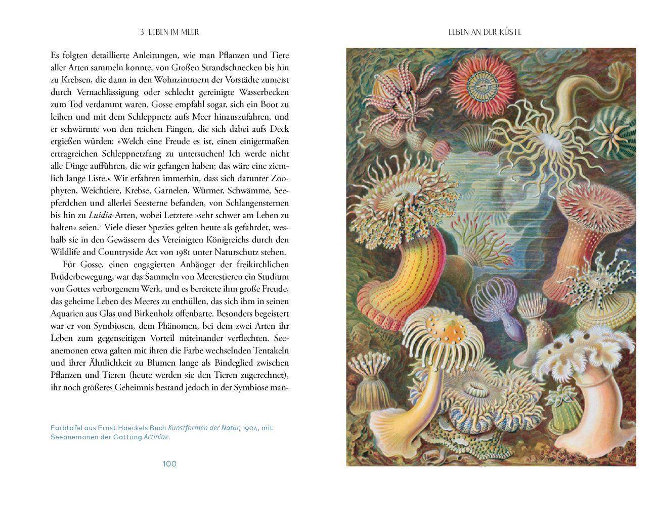 Beispielinhalt (Bild) Das Meer