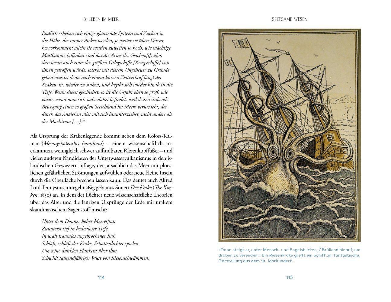 Beispielinhalt (Bild) Das Meer