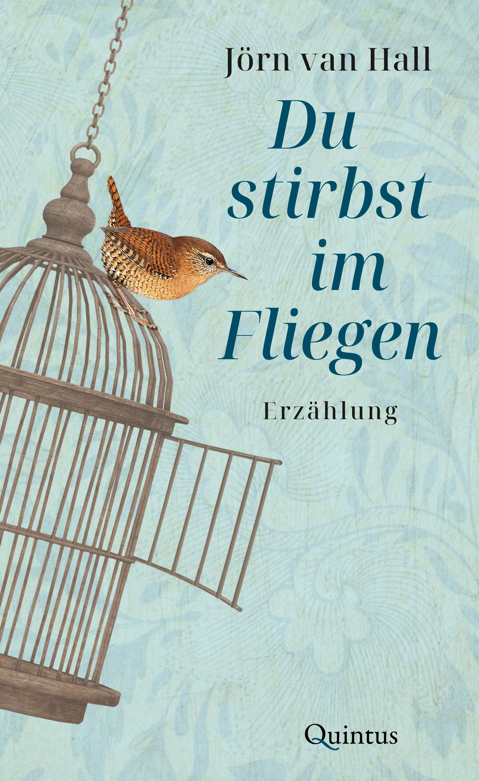 Vorderes Coverbild Du stirbst im Fliegen