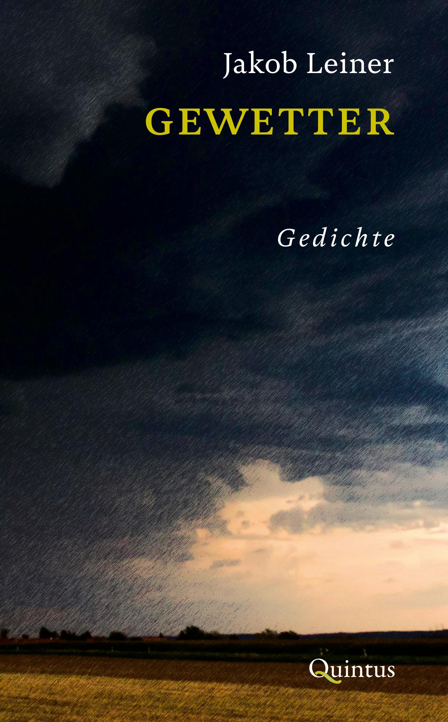 Vorderes Coverbild Gewetter