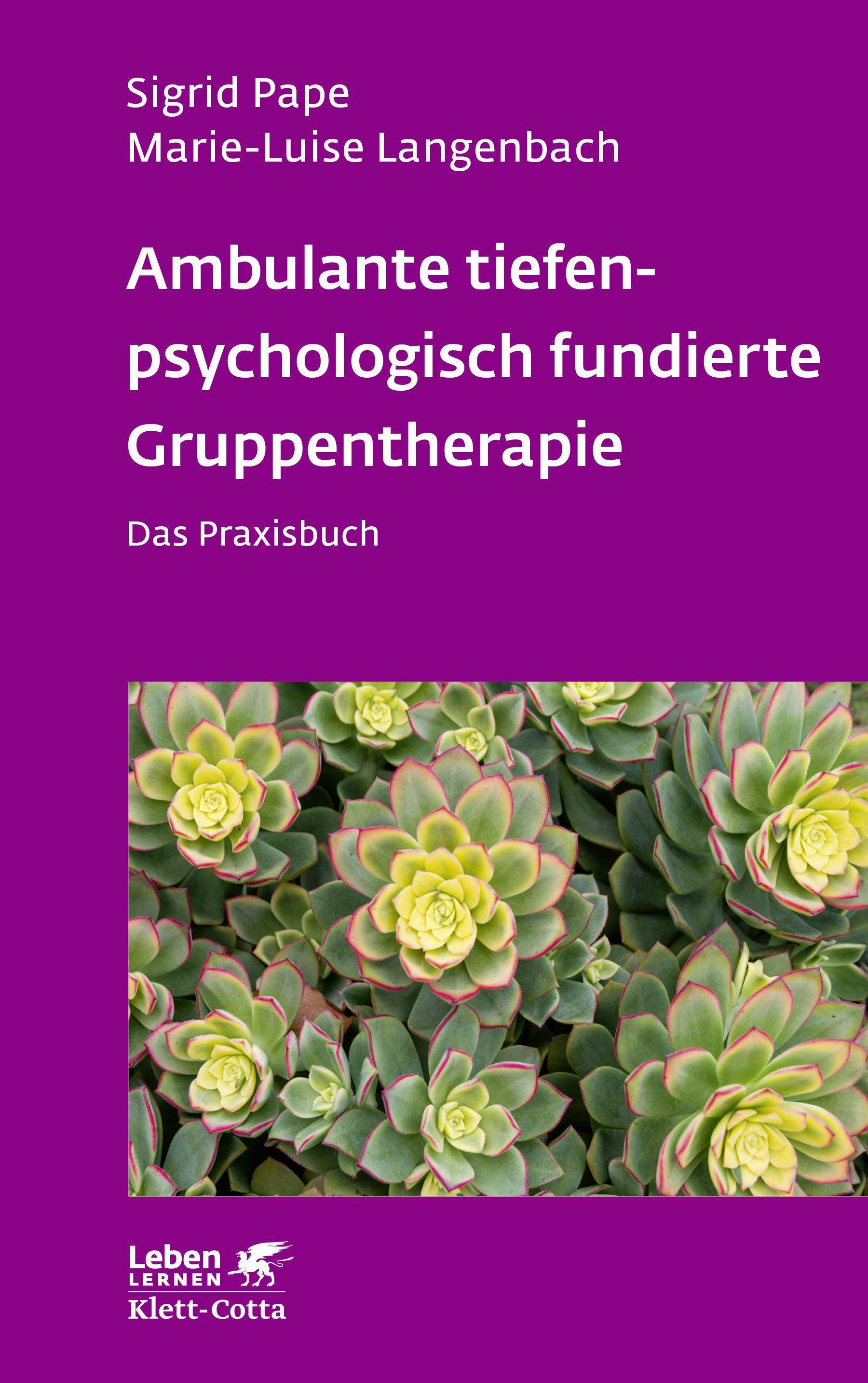Vorderes Coverbild Ambulante tiefenpsychologisch fundierte Gruppentherapie (Leben Lernen, Bd. 335)
