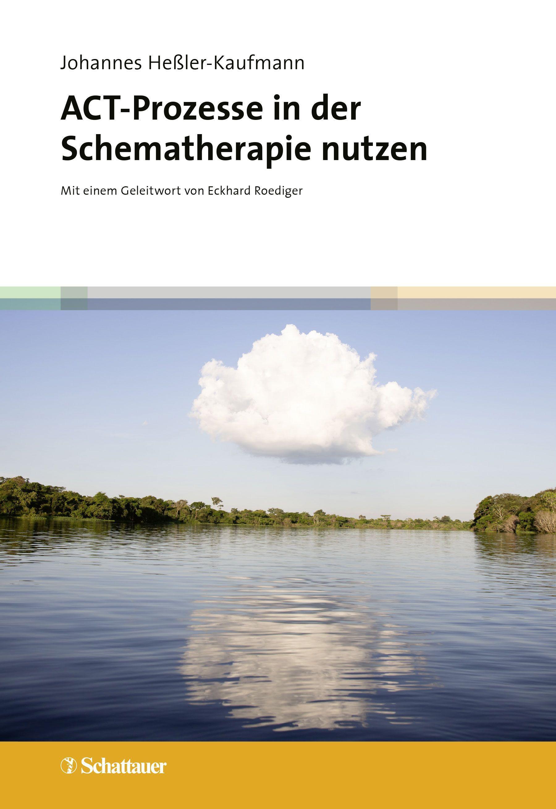 Vorderes Coverbild ACT-Prozesse in der Schematherapie nutzen