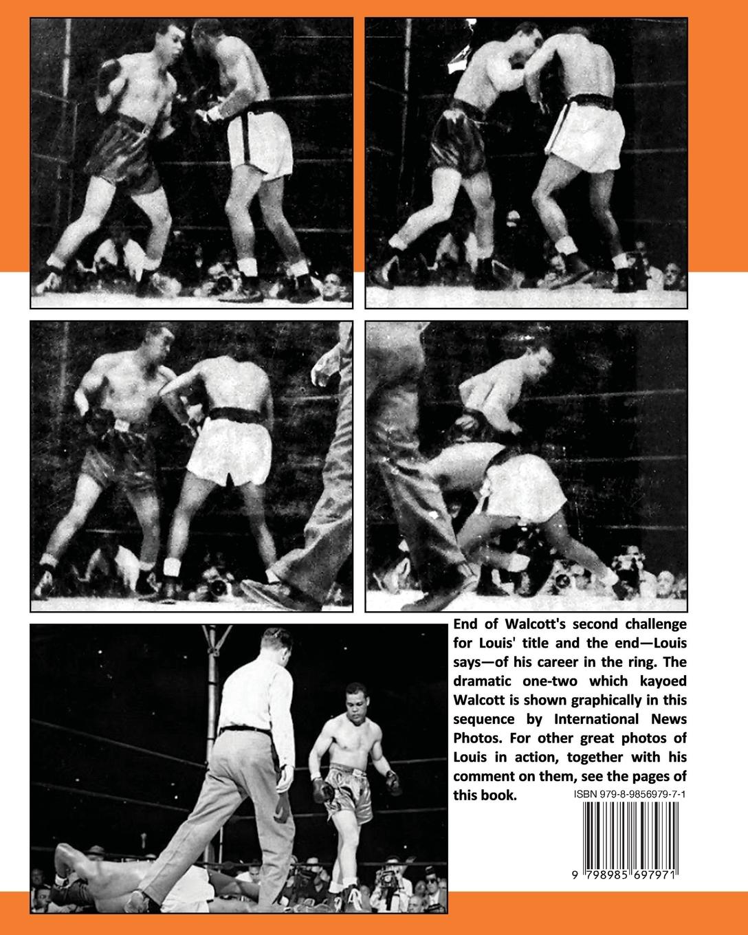 Rückseitencover How To Box