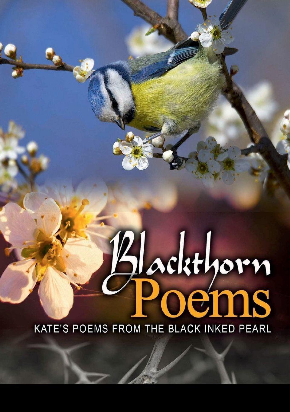 Vorderes Coverbild Blackthorn poems