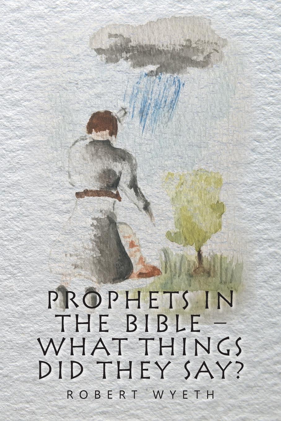 Vorderes Coverbild Prophets in the Bible -  What Things Did They Say?