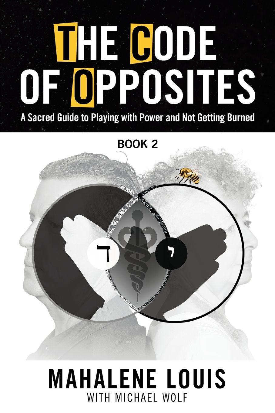 Vorderes Coverbild The Code of Opposites-Book 2