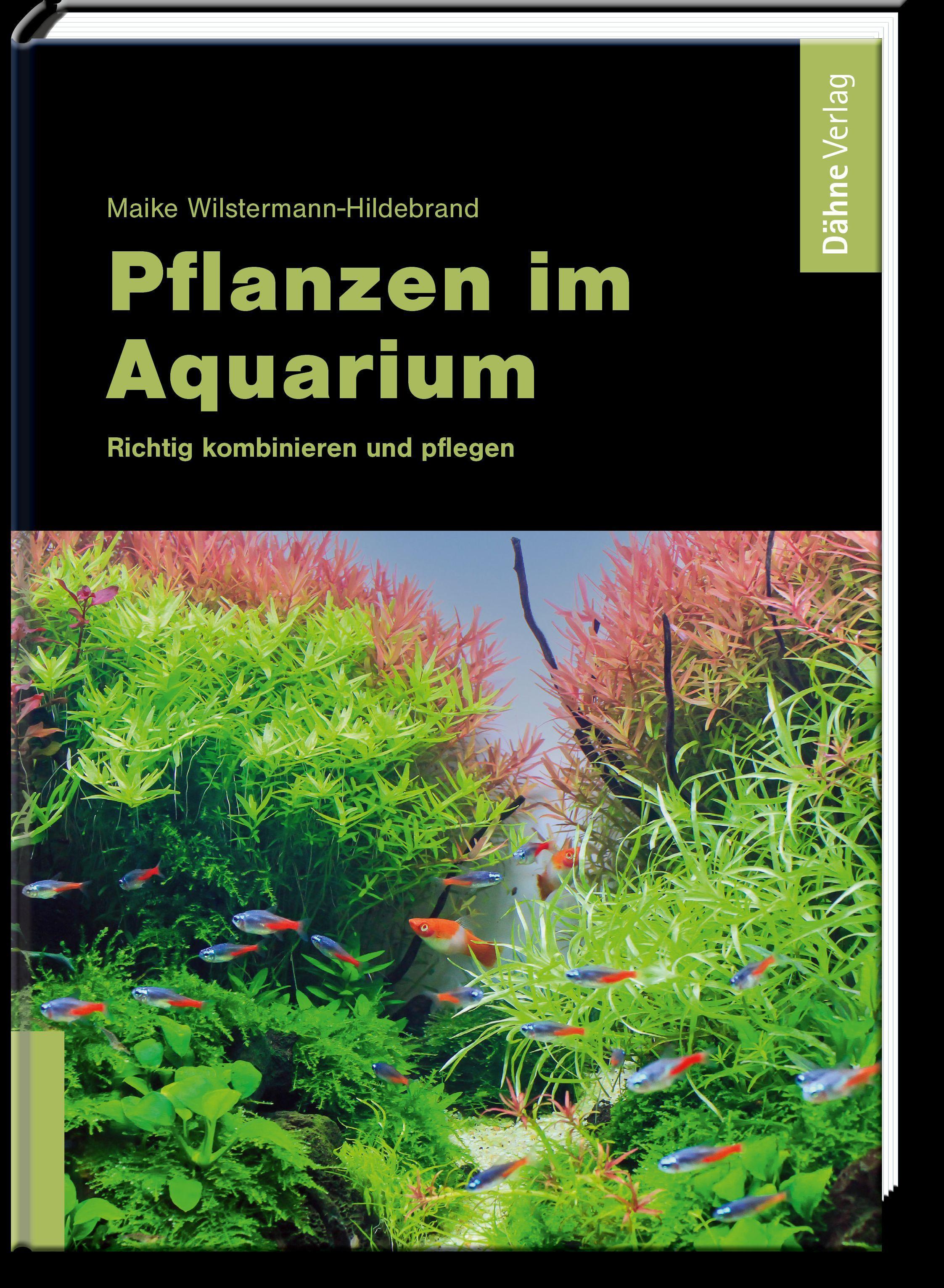 Vorderes Coverbild Pflanzen im Aquarium