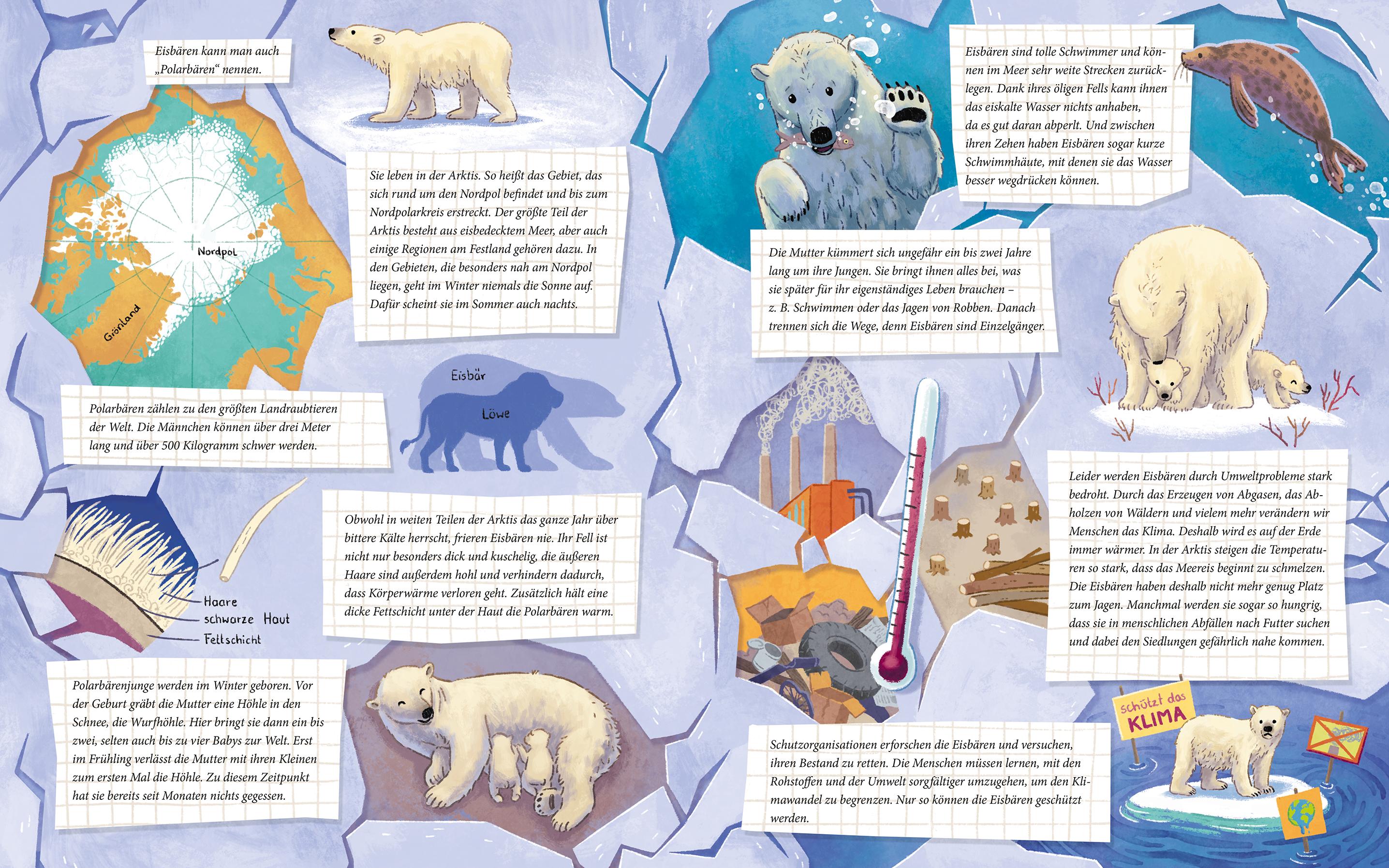 Beispielinhalt (Bild) Der kleine Polarbär - Zu Hause in der Arktis