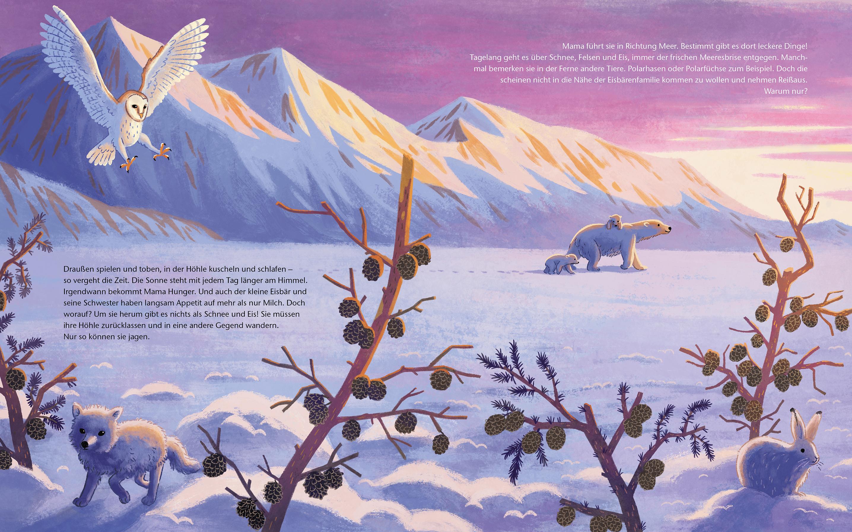 Beispielinhalt (Bild) Der kleine Polarbär - Zu Hause in der Arktis