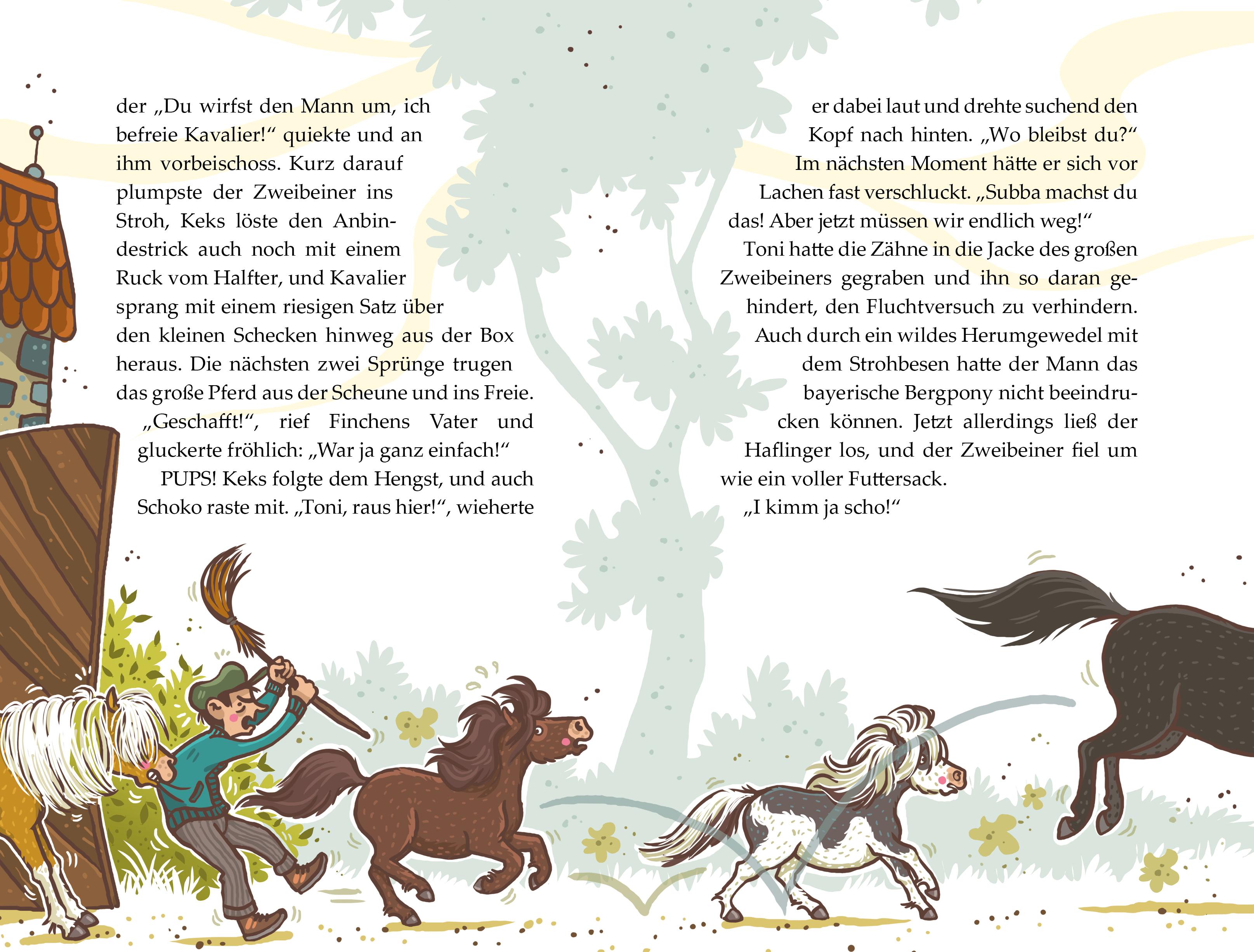 Beispielinhalt (Bild) Die Haferhorde - Mit allen Ponywassern gewaschen