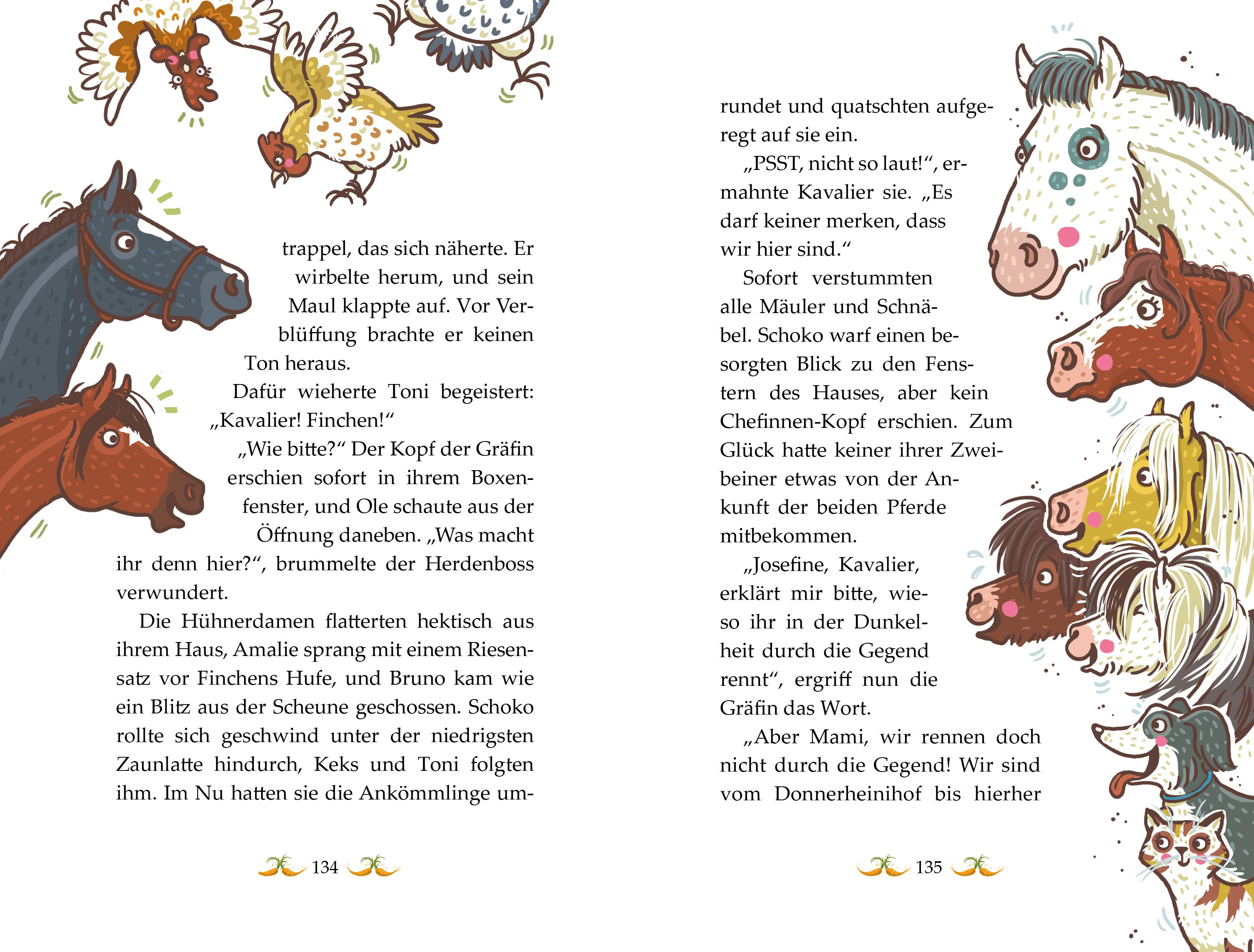 Beispielinhalt (Bild) Die Haferhorde - Mit allen Ponywassern gewaschen