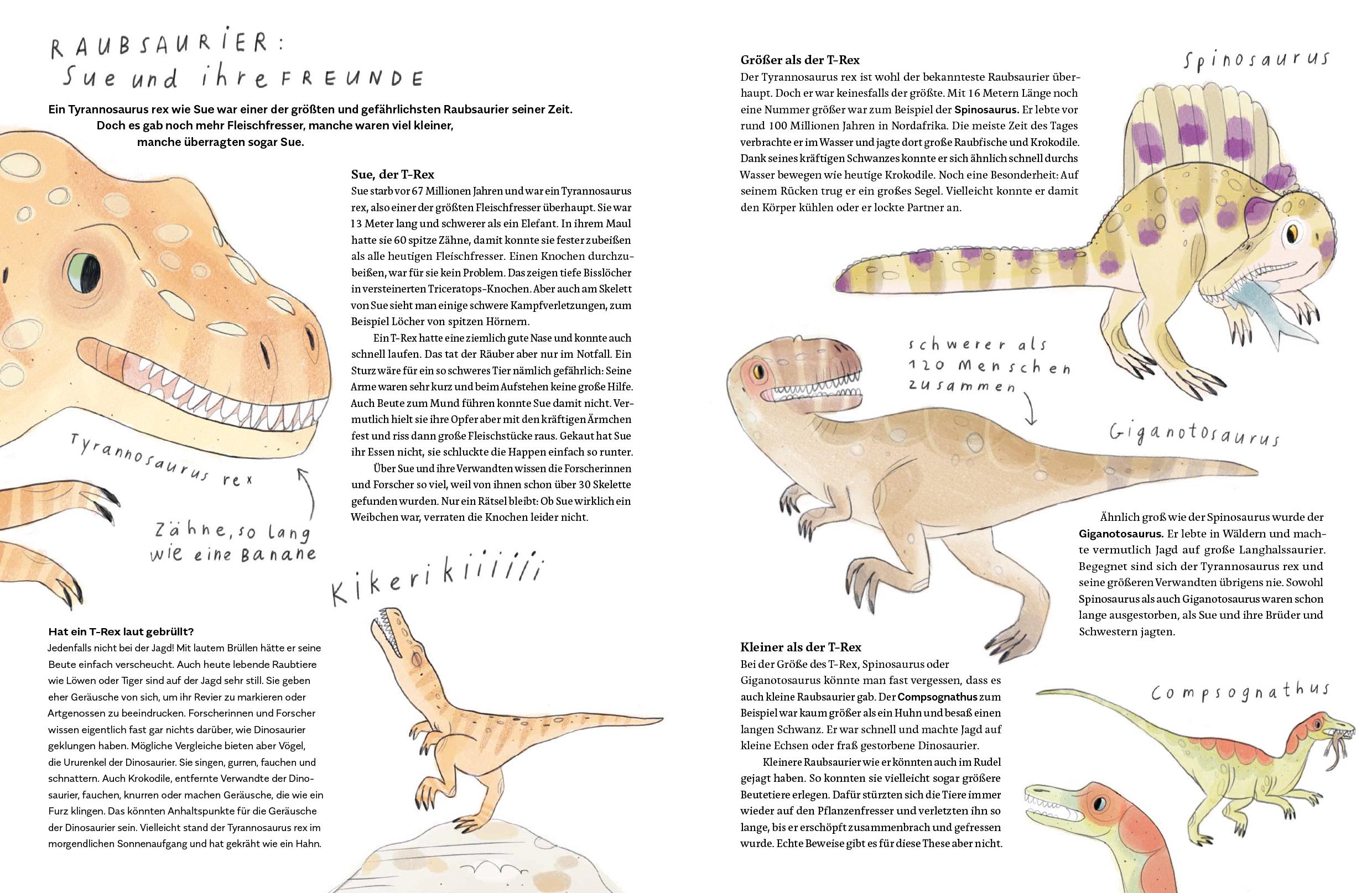 Beispielinhalt (Bild) Ein T-Rex namens Sue