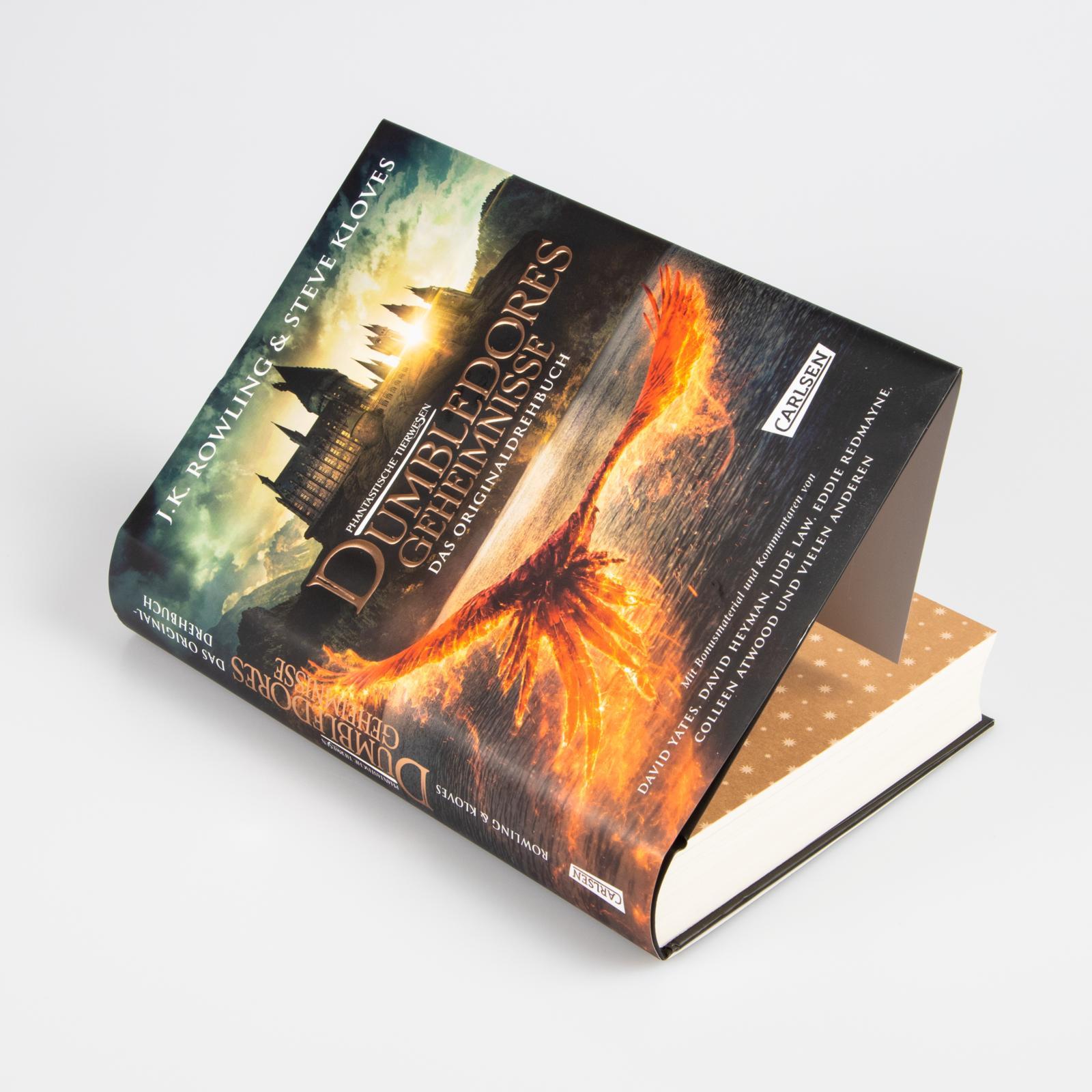 Beispielinhalt (Bild) Phantastische Tierwesen: Dumbledores Geheimnisse (Das Originaldrehbuch)