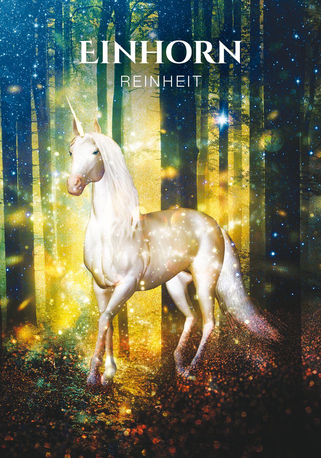 Beispielinhalt (Bild) Sacred Forest - Orakel des Heiligen Waldes