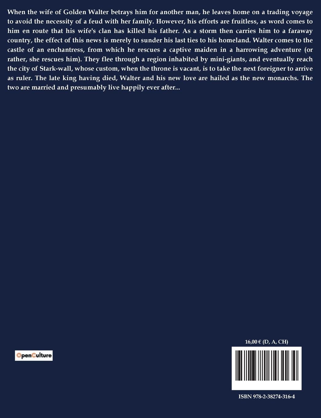 Rückseitencover The Wood Beyond the World