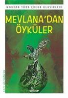 Vorderes Coverbild Mevlanadan Öyküler