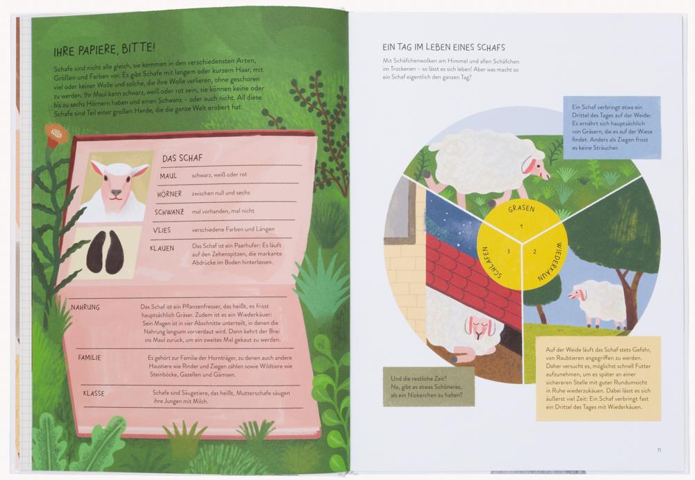 Beispielinhalt (Bild) Einmal extra Schaf!
