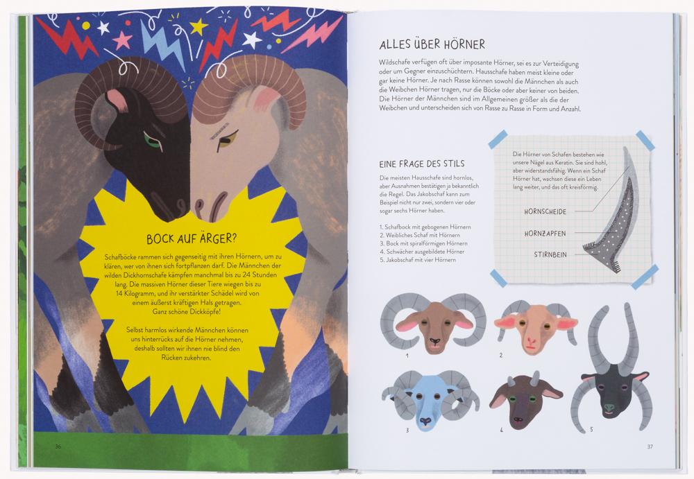 Beispielinhalt (Bild) Einmal extra Schaf!