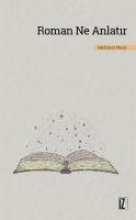 Vorderes Coverbild Roman Ne Anlatir