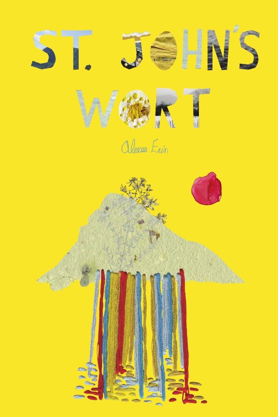 Vorderes Coverbild St John's Wort