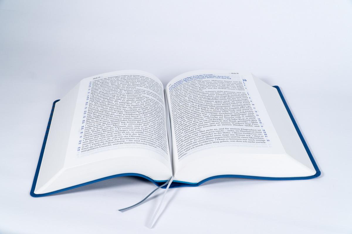 Beispielinhalt (Bild) Elberfelder Bibel in großer Schrift, Kunstleder