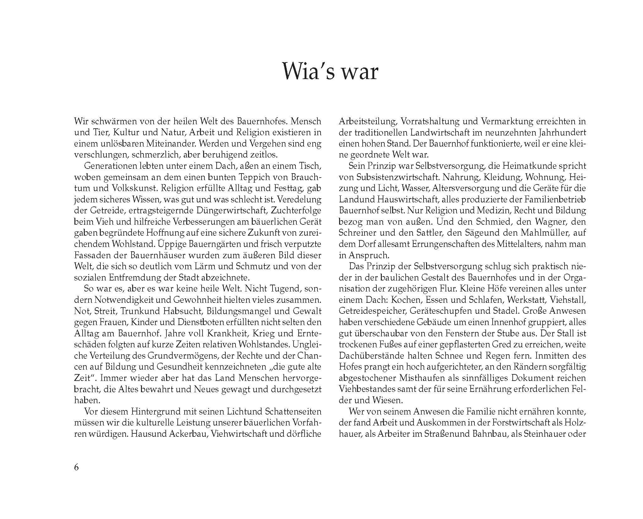 Beispielinhalt (Bild) Schee is gwen, owa hirt