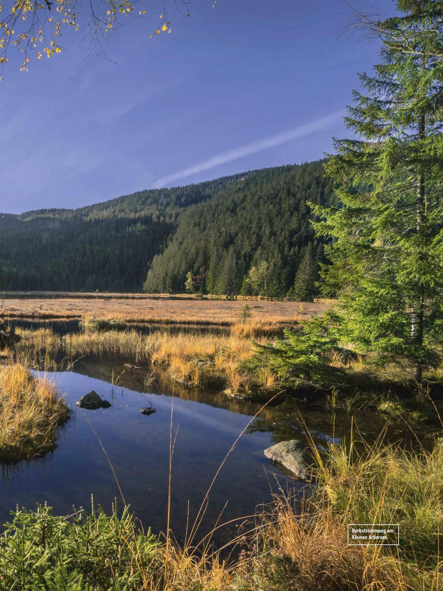 Beispielinhalt (Bild) Faszination Bayerischer Wald