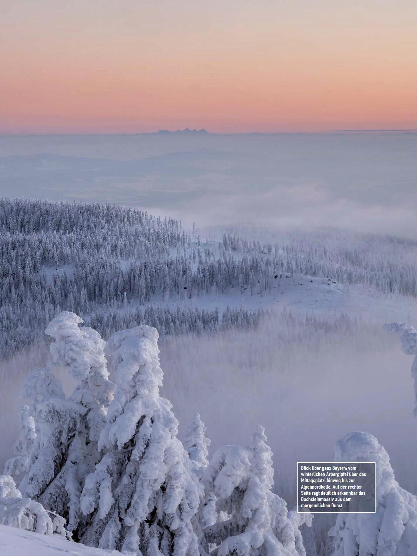 Beispielinhalt (Bild) Faszination Bayerischer Wald
