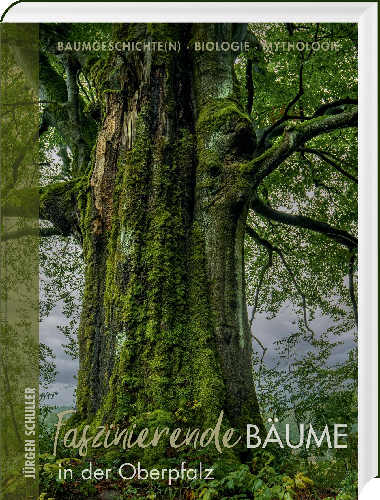 Vorderes Coverbild Faszinierende Bäume in der Oberpfalz