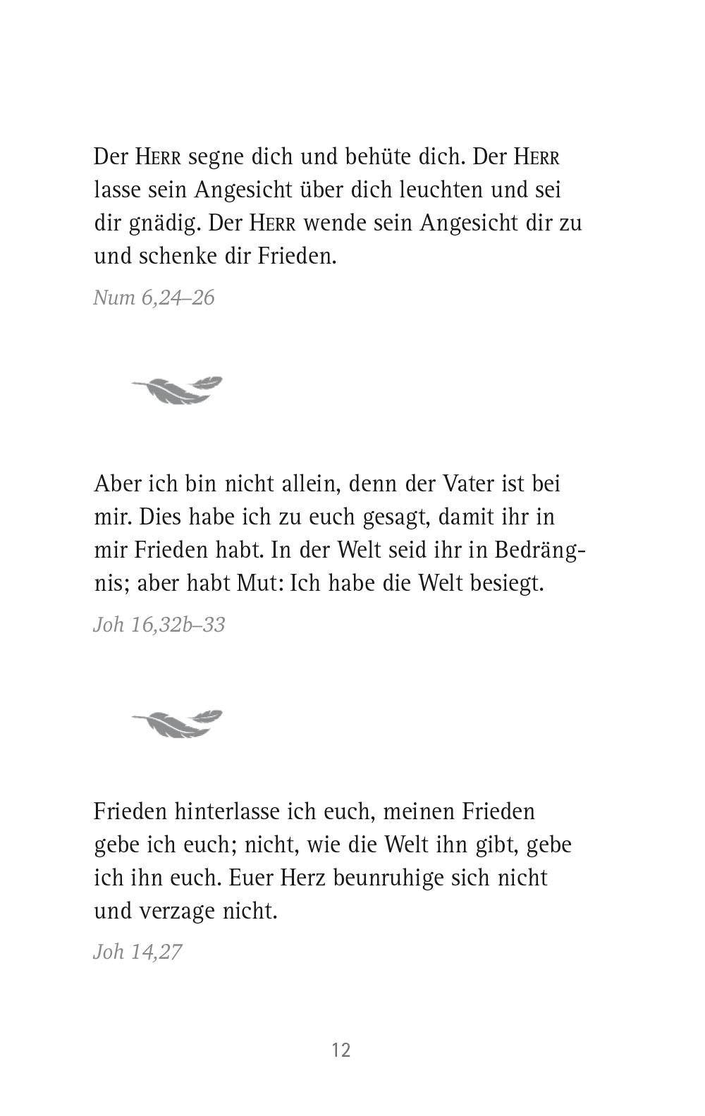 Beispielinhalt (Bild) Friedensgebete