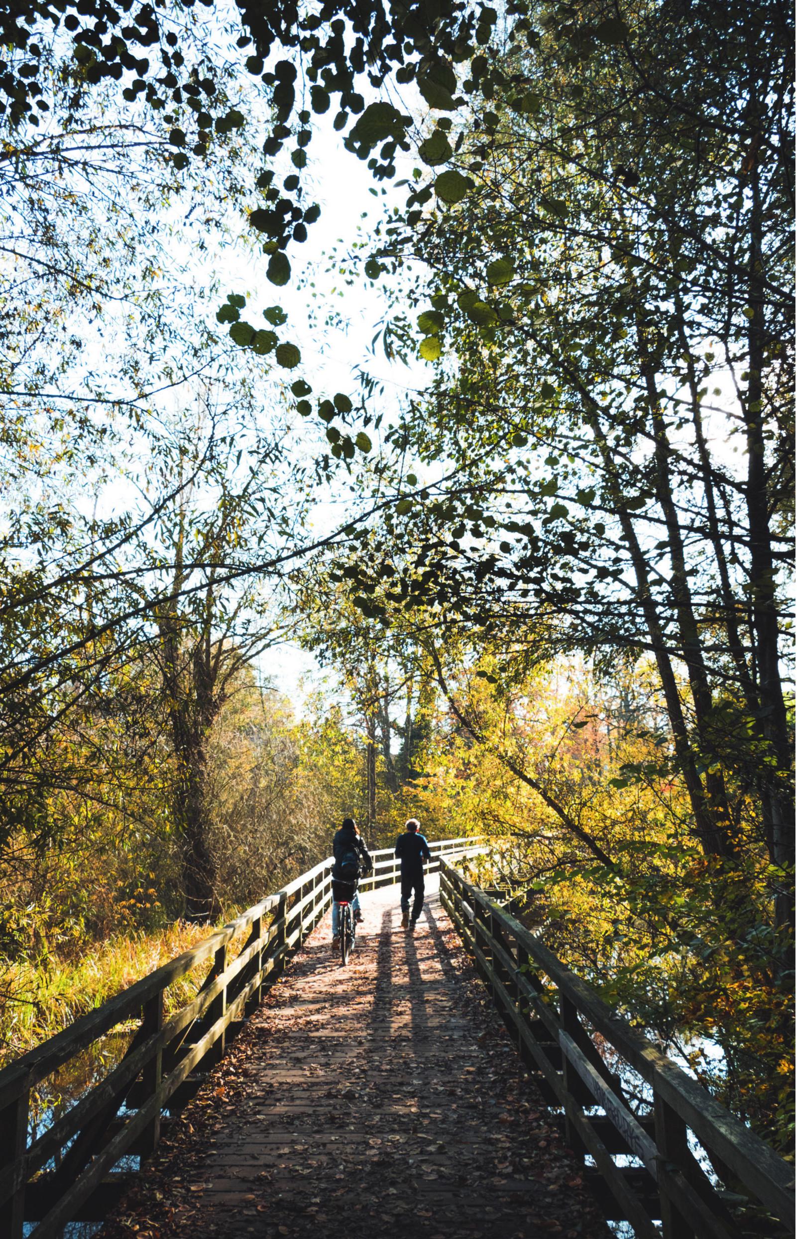Beispielinhalt (Bild) Idyllisches Berlin