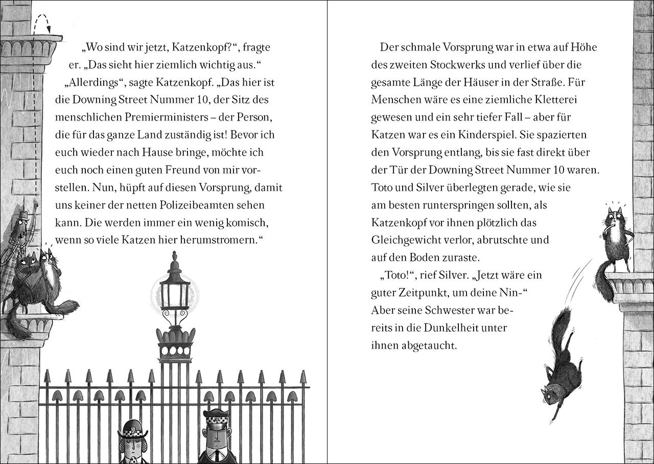 Beispielinhalt (Bild) Ninja Cat (Band 1) - Duell mit der Königskobra