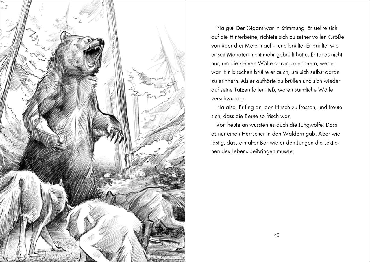 Beispielinhalt (Bild) Das geheime Leben der Tiere (Wald) - König der Bären